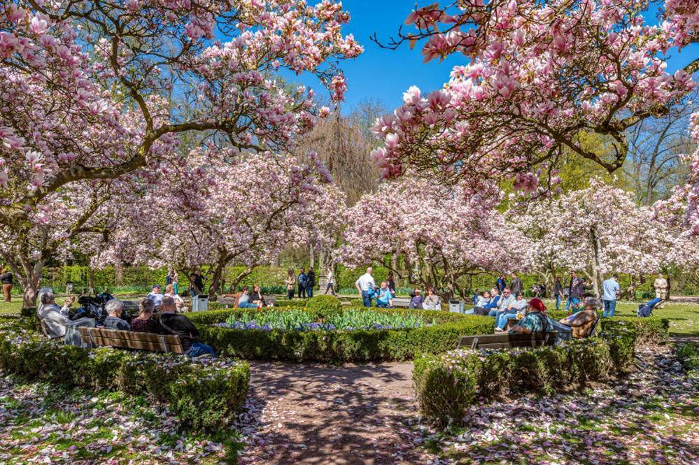 Hotel Zum Goldenen Ochsen Am Schlossgarten Aschaffenburg Kültér fotó